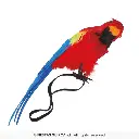 16997_08.webp