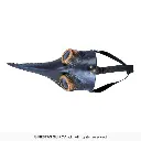20504_11.webp