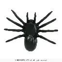 26293_11.webp