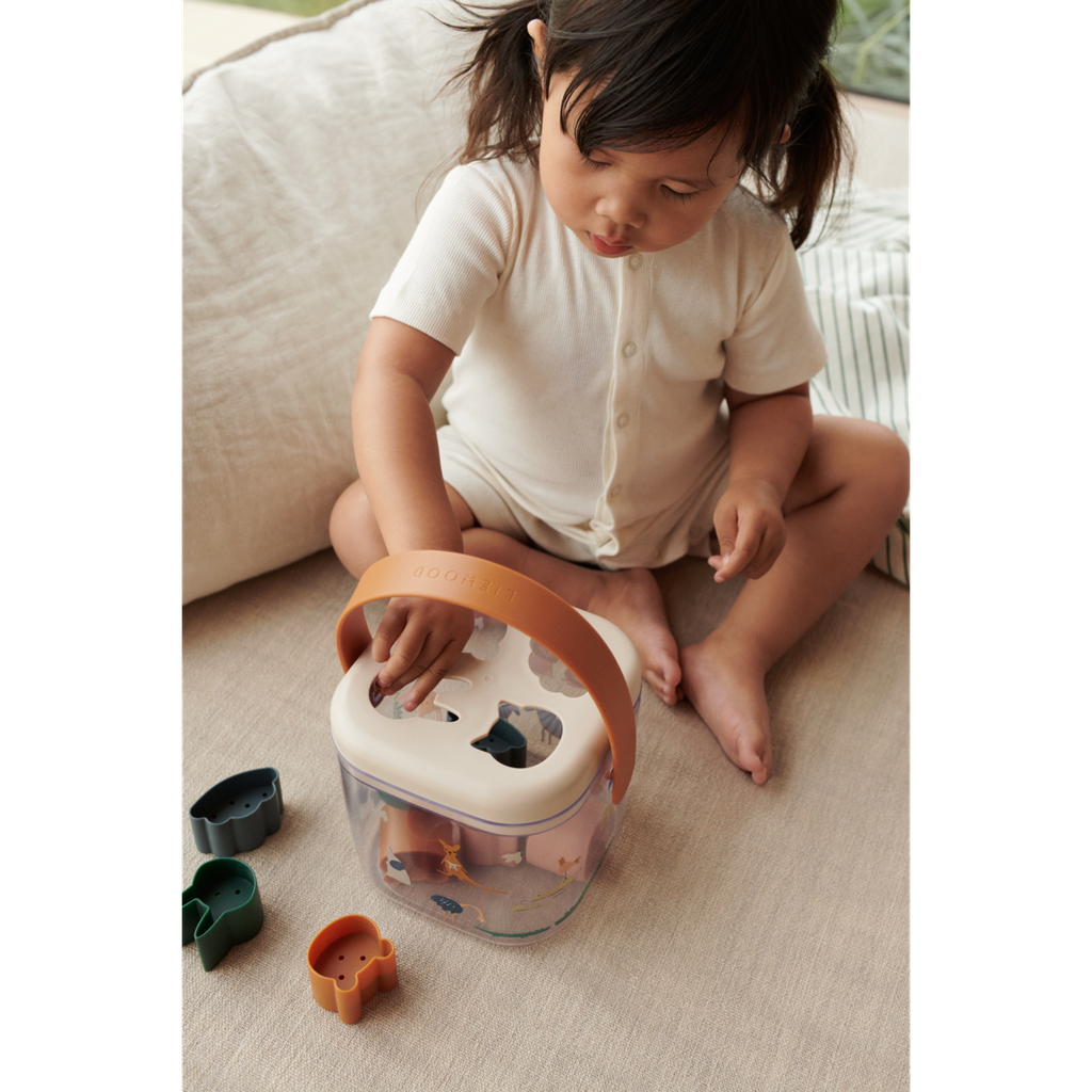 Lucinda Puzzle Box - All together / Sandy 2