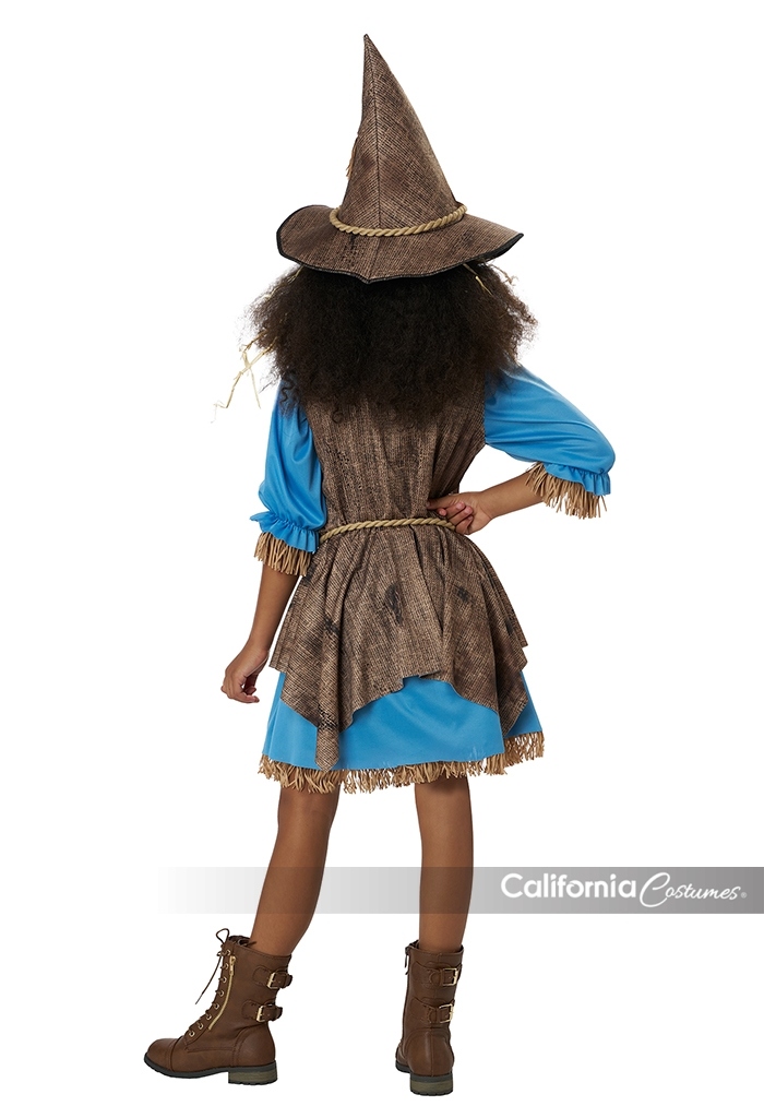 Little Miss Scarecrow Girls Costume 3