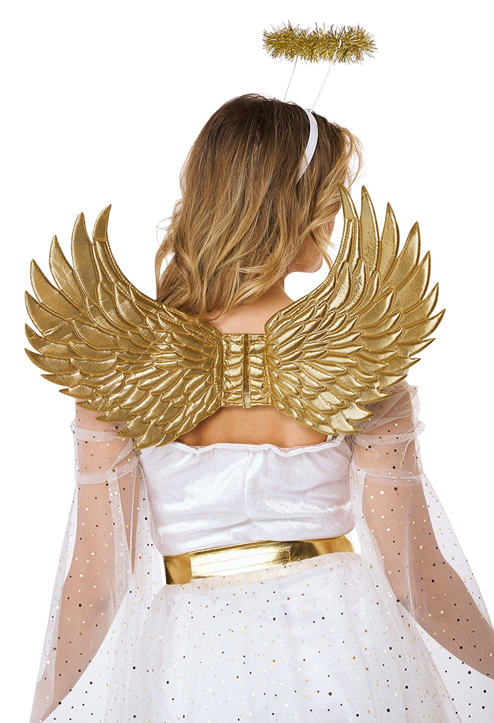 Celestial Beauty Women's Costume 4