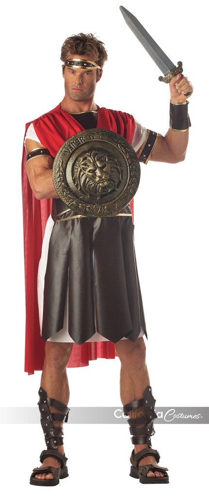 Gladiator Combat Shield & Sword Set, 12" 2