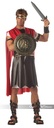 Gladiator Combat Shield & Sword Set, 12" 2