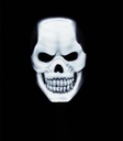 Light-Up Skull Mask with Hood - White 2