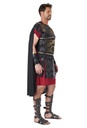 Roman Warrior Men's Plus Size Costume 2
