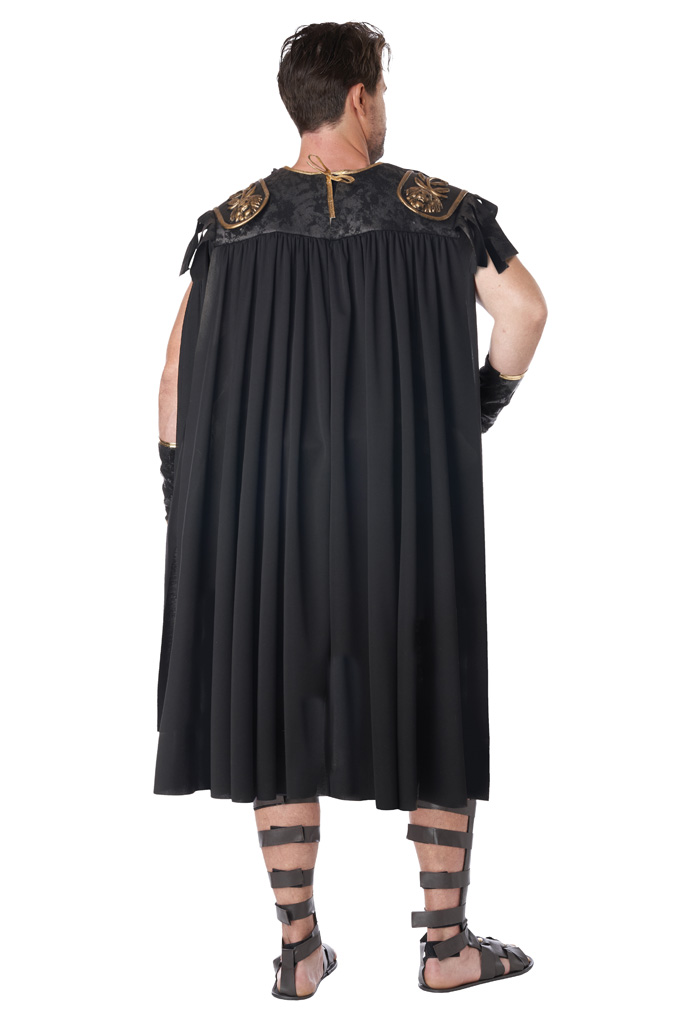 Roman Warrior Men's Plus Size Costume 3