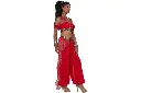 8-0b3e19c546-sultry-arabian-princess-womens-costume-ccc5026041-2.webp