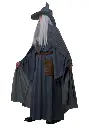 mens-wandering-wizard-costume-alt-1.webp