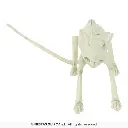 26082_08.webp