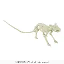 26082_10.webp