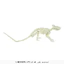 26082_11.webp