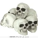 26975_14.webp