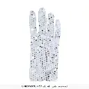 17865_08.webp