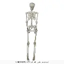 26044_18.webp