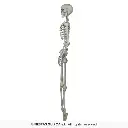26044_17.webp