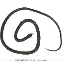 31713_10.webp