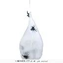 24395_17.webp