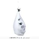 24395_02.webp