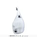 24395_03.webp