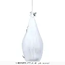 24395_18.webp