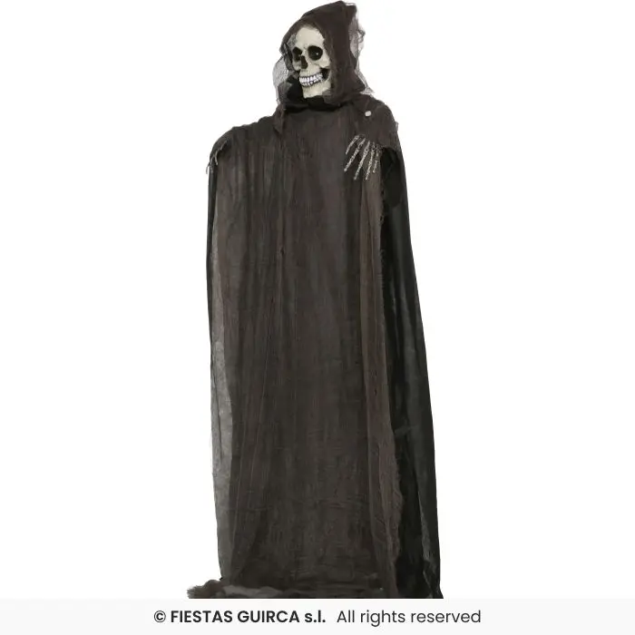 29928_16.webp
