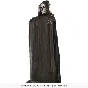 29928_16.webp