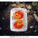 19033_07.webp