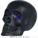29621_16.webp