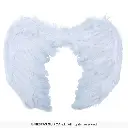 16885_15.webp
