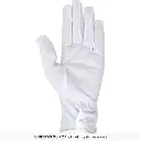 16523_10.webp