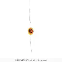 24998_16.webp