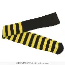 18276_10.webp