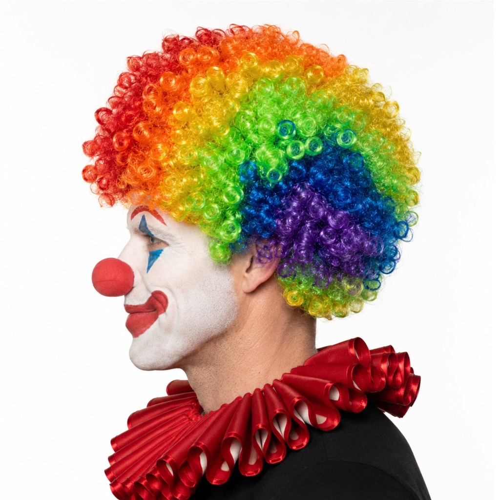Rainbow Clown Afro Wig - Short (3)
