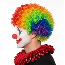 Rainbow Clown Afro Wig - Short (3)