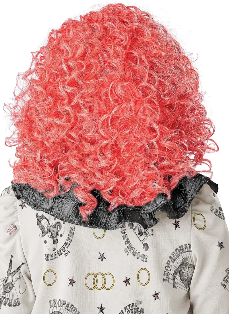 GID-curly-clown-wig-2.webp