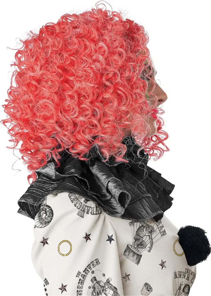 GID-curly-clown-wig-1.webp