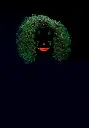 GID-curly-clown-wig-3.webp