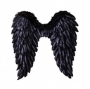 Black Feather Wings 70cm 1