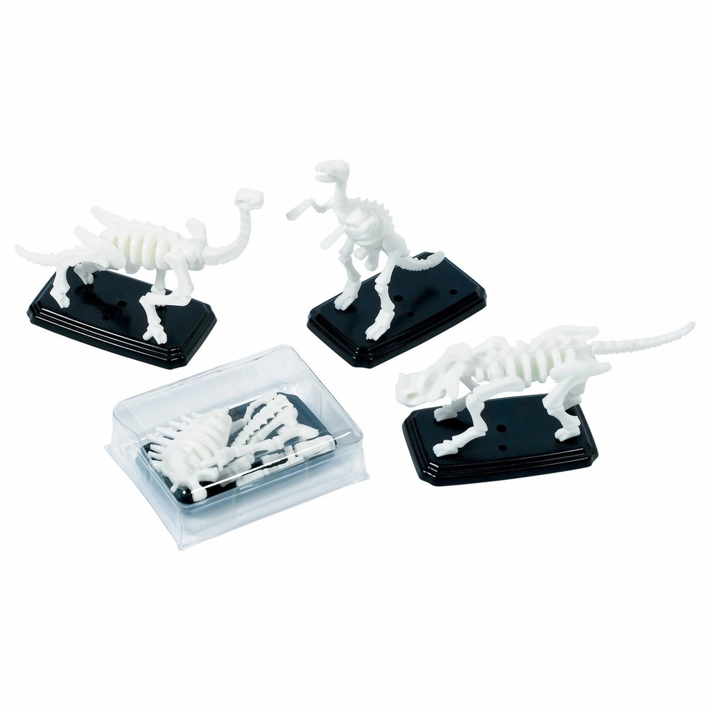 3-D Fossil Puzzles