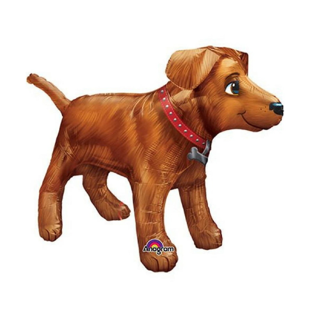 36x24" GOLDEN DOG SHP - PKG
