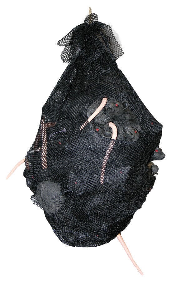 Bag Of Rats Halloween