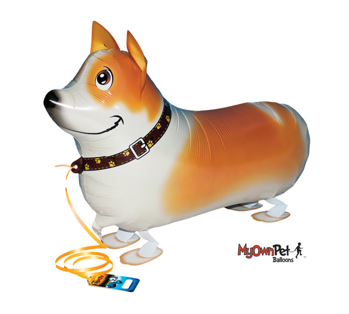 Balloons - My Own Pet Corgi