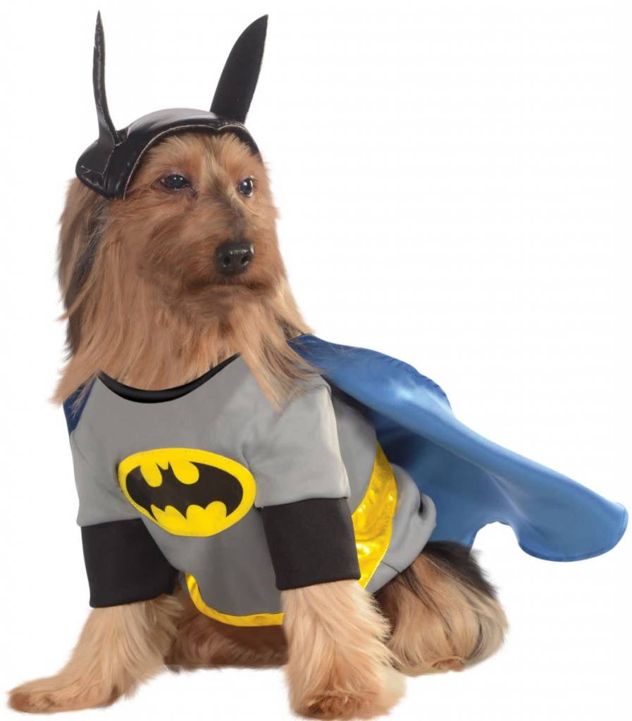 Batman Pet