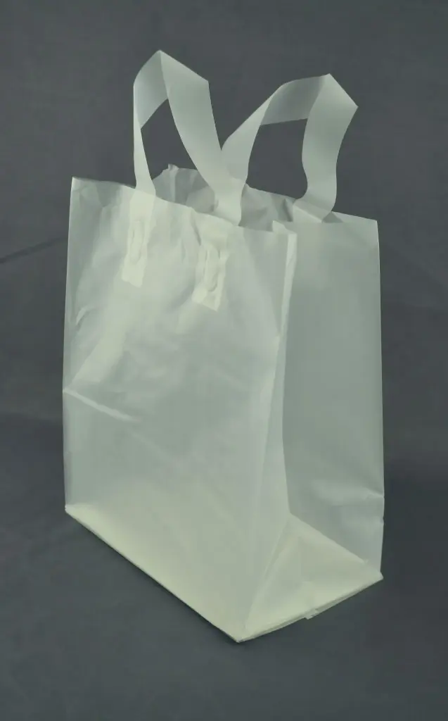 Clear Frosted Bags (soft loop handle)