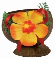 Coconut Cup With Flitter Authentic