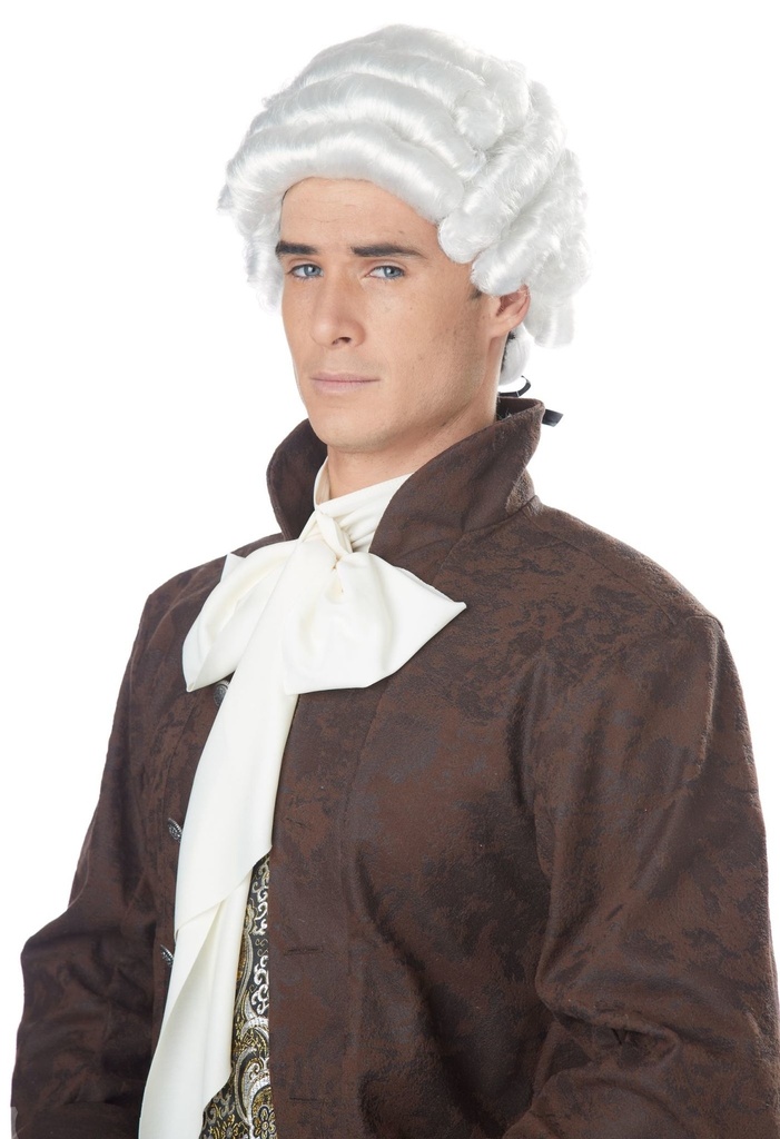 Colonial Man Wig / Adult