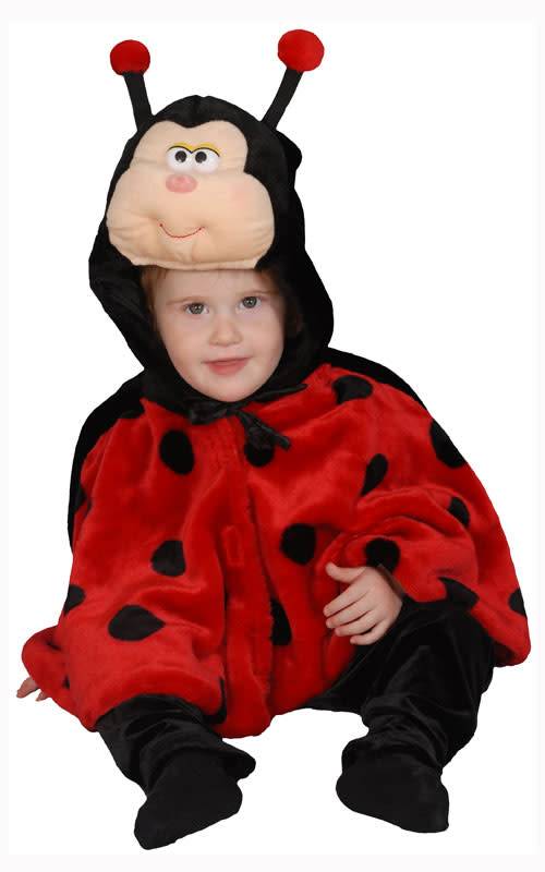 Cute Little Ladybug