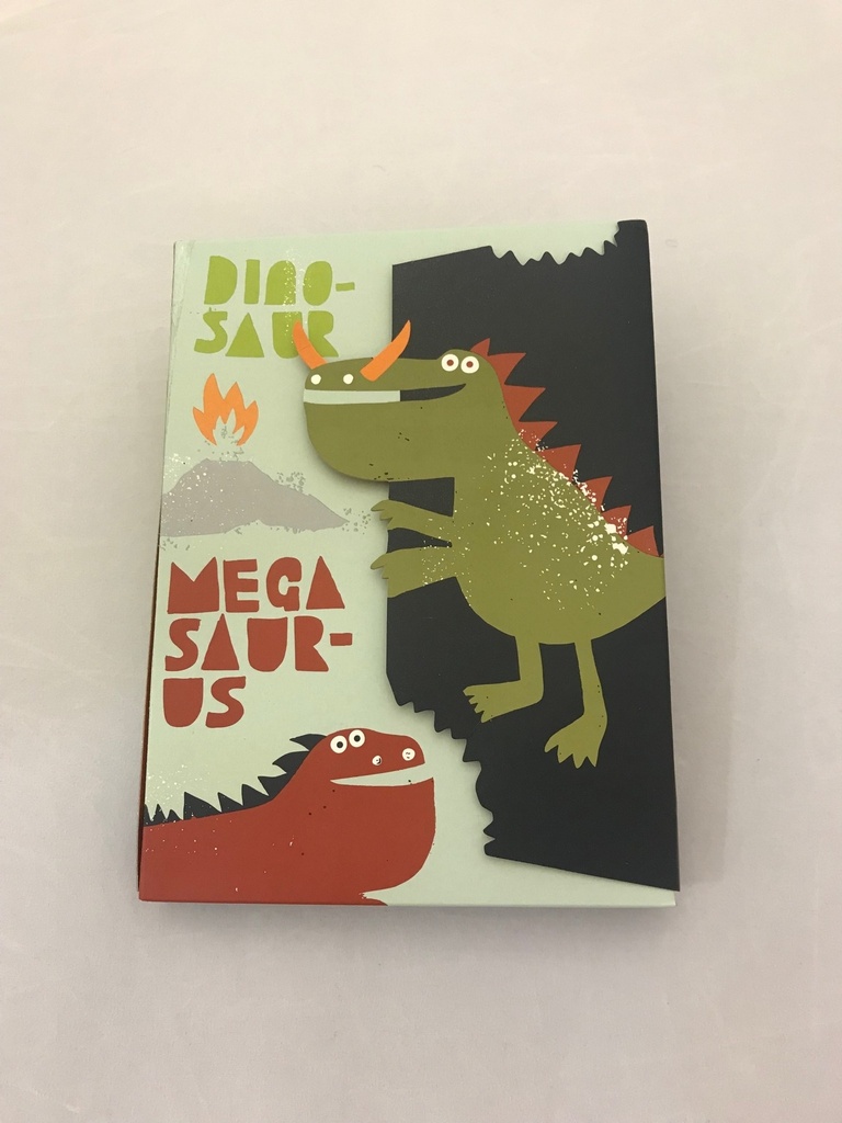 DVD Box - Jurassic Park Dinosaurs & Dragons