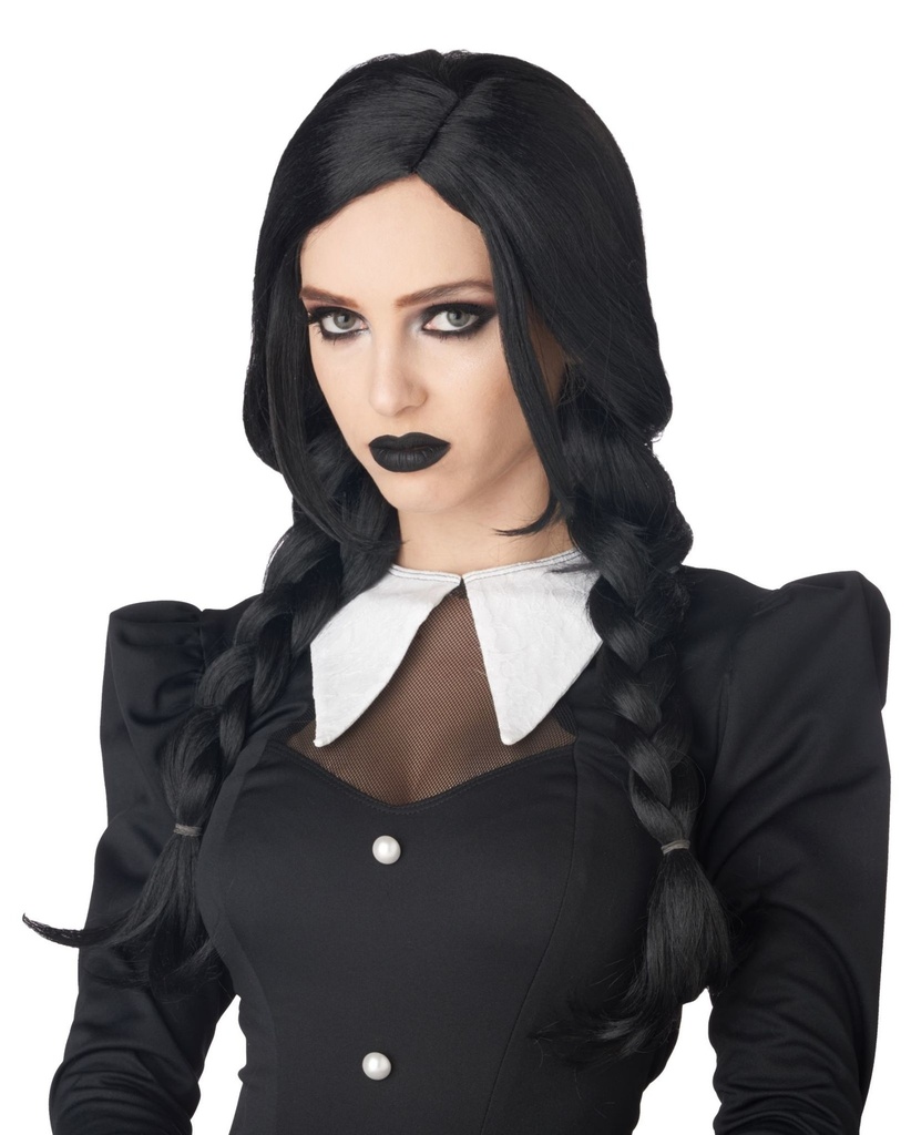Dark Braids Wig-Black